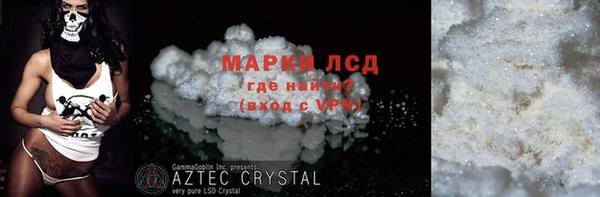прущие грибы Волоколамск
