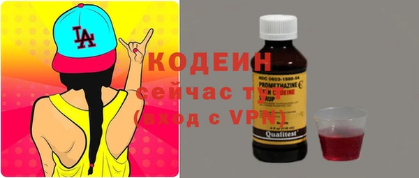 прущие грибы Волоколамск