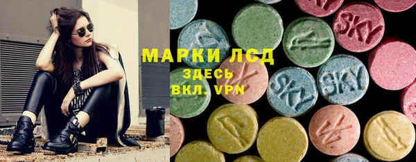 прущие грибы Волоколамск