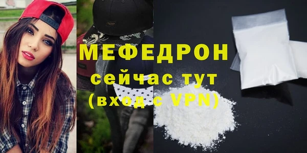 индика Снежногорск