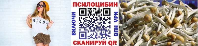 MEGA ССЫЛКА  дарк нет клад  Галлюциногенные грибы мухоморы  Волхов 